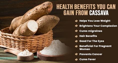 yuca root cassava health benefits